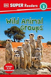 DK Super Readers Level 3 Wild Animal Groups | ABC Books
