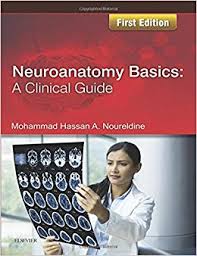Neuroanatomy Basics: A Clinical Guide | ABC Books
