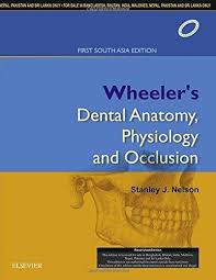 Nelson - Wheeler's Dental Anatomy, Physiology and Occlusion: First South Asia Edition, 1/e | ABC Books