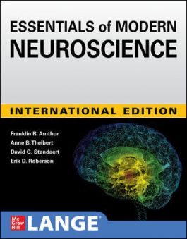 IE Essentials of Modern Neuroscience | ABC Books