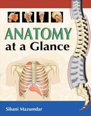 Anatomy at a Glance** | ABC Books