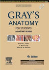 Gray's Anatomy For Students: An Instant Review, 4e: South Asia edition | ABC Books