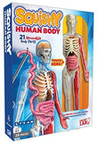 Educational Games-Squishy Human Body with 21 Removable Body Parts with Anatomy Book | ABC Books