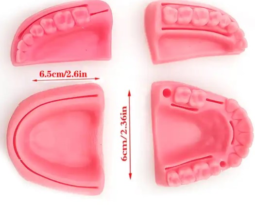 Medical Training Model -Silica gel periodontitis gum suture oral training module-4 parts-Sciedu(cm):18x12x2 | Sciedu