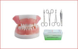 Training Model-Oral Suture Practice Model with Needle and Thread Equipment Set- Sciedu | ABC Books