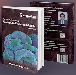 Nephrotube Synopsis of Glomerular Disease in Adults