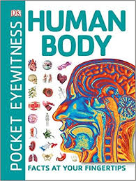 Pocket Eyewitness Human Body : Facts at Your Fingertips | ABC Books