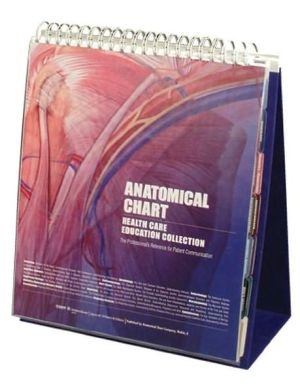 Anatomical Chart Healthcare Education Collection : The Professional's Reference for Patient Communication**