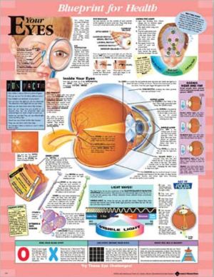Blueprint for Health Your Eyes Chart | ABC Books