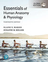 Essentials of Human Anatomy & Physiology, Global Edition, 13e | ABC Books
