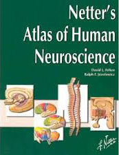 Netter's Atlas of Human Neuroscience IE ** | ABC Books