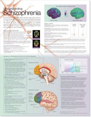 Understanding Schizophrenia Chart