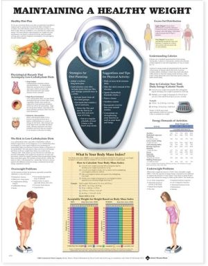 Maintaining A Healthy Weight Chart
