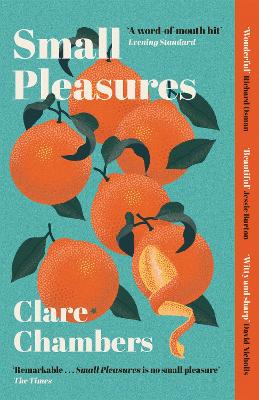 Small Pleasures : Longlisted for the Women's Prize for Fiction 2021 | ABC Books