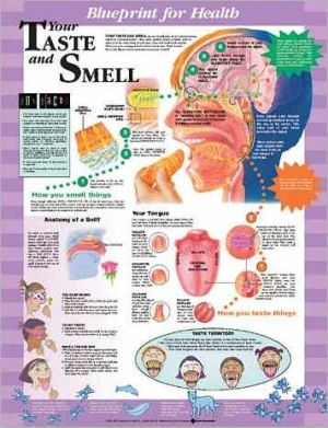 Blueprint for Health Your Taste and Smell Chart**