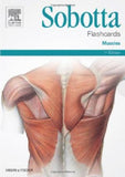 Sobotta Flashcards Muscles | ABC Books