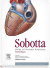 Sobotta Atlas of Human Anatomy, Vol. 2, 15th ed., English/Latin : Internal Organs - with online access to e-sobotta.com, 15e | ABC Books