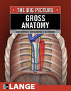Gross Anatomy: The Big Picture** | ABC Books
