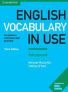 English Vocabulary in Use: Advanced Book with Answers, 3E
