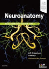 Neuroanatomy: an Illustrated Colour Text , 6e