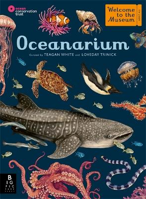 Oceanarium : Welcome to the Museum | ABC Books