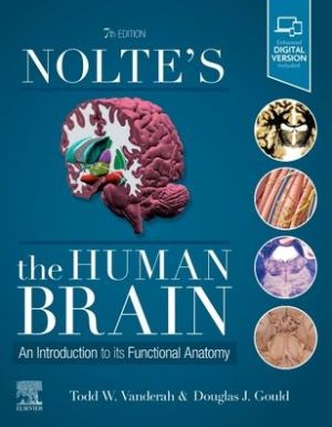 Nolte's The Human Brain , An Introduction to its Functional Anatomy , 8e | ABC Books