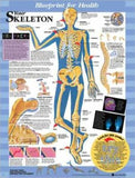 Blueprint for Health Your Skeleton Chart | ABC Books