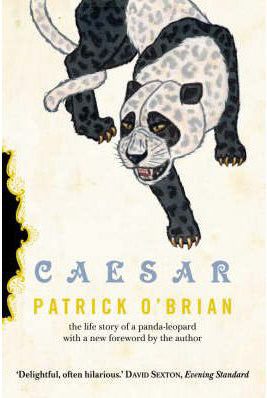 Caesar the Panda Leopard