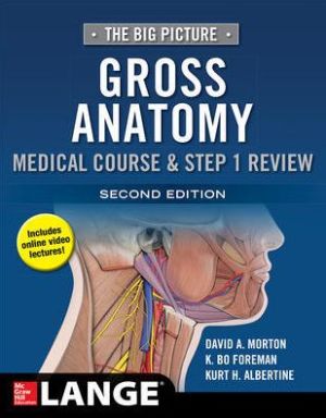 The Big Picture: Gross Anatomy, Medical Course & Step 1 Review, 2e | ABC Books