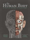 The Human Body: A Pop-Up Guide to Anatomy | ABC Books