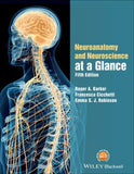 Neuroanatomy and Neuroscience at a Glance, 5e | ABC Books