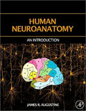 Human Neuroanatomy | ABC Books