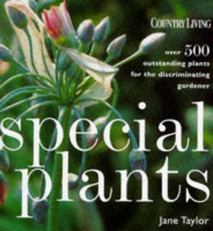 Special Plants : Over 500 Outstanding Plants for the Discriminating Gardener