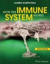 How the Immune System Works, Sixe