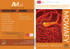 Mowafy Internal Medicine : Endocrinology | ABC Books