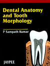 Dental Anatomy and Tooth Morphology | ABC Books