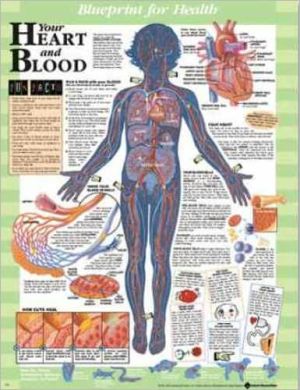 Blueprint for Health Your Heart and Blood Chart | ABC Books